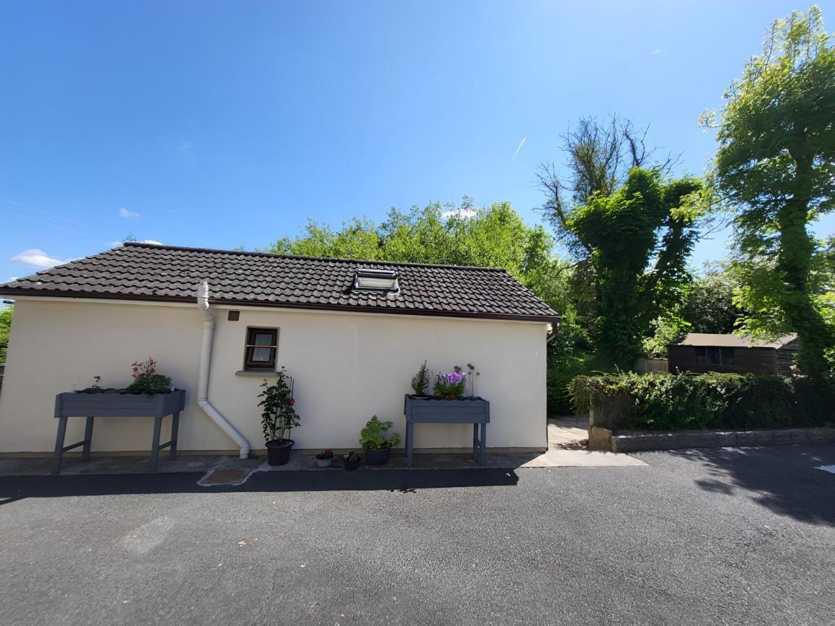 Oak Cottage 3 Km From Rock Of Cashel Cashel  Ngoại thất bức ảnh